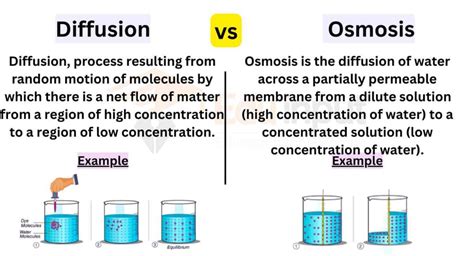 difference between diffusion and osmosis class 9|Difference between Osmosis and Diffusion .